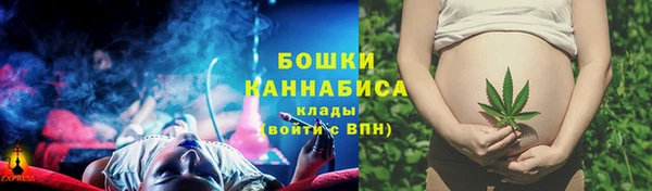 стаф Беломорск