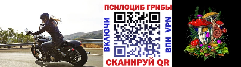 Псилоцибиновые грибы Psilocybe Горячий Ключ